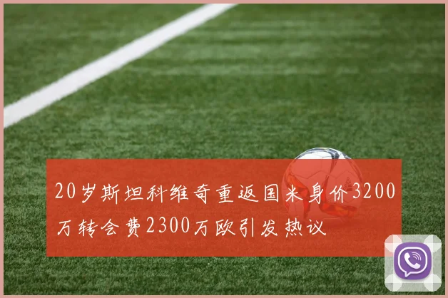 20岁斯坦科维奇重返国米身价3200万转会费2300万欧引发热议