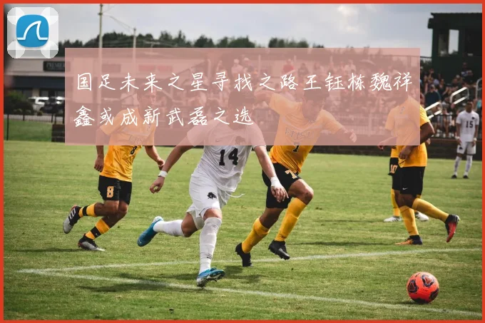 国足未来之星寻找之路王钰栋魏祥鑫或成新武磊之选